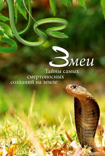 Змеи. Тайны самых смертоносных созданий на земле (2014) онлайн бесплатно